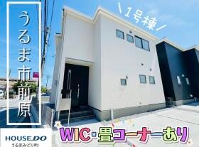 概観画像