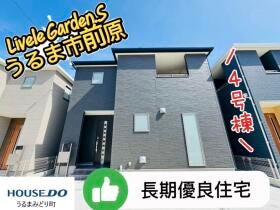 概観画像