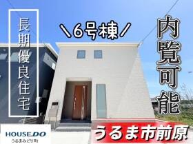 概観画像