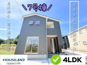概観画像