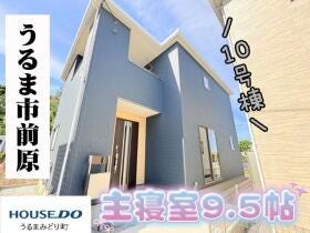 概観画像