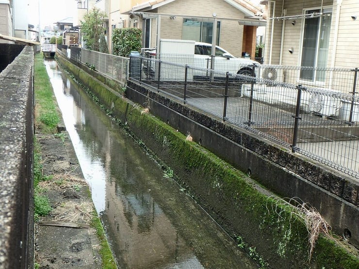 北側水路等(雨天時)