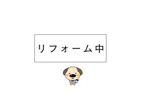 概観画像