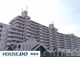 概観画像