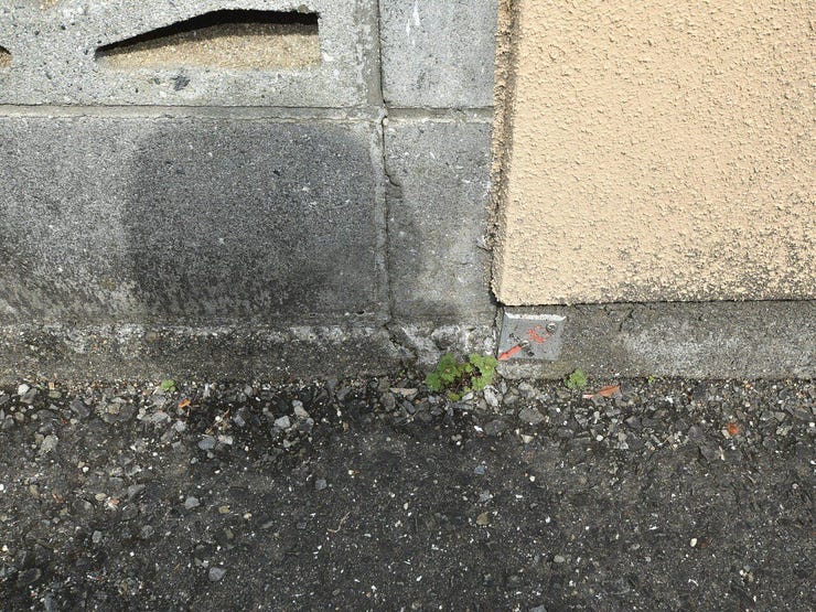 東面境界 2026.02.28