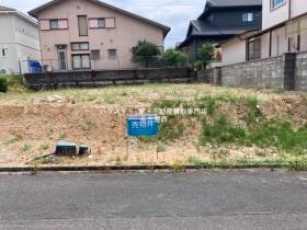 概観画像