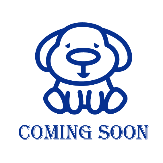 2026年4月フルリフォーム完成予定