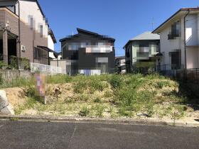 概観画像