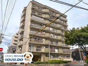 概観画像