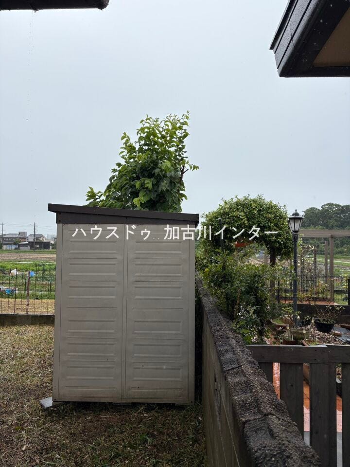6/1 除草作業を行いました。(境界部分)