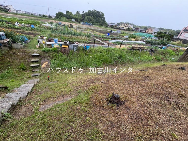 6/1 除草作業を行いました。(裏庭部分)