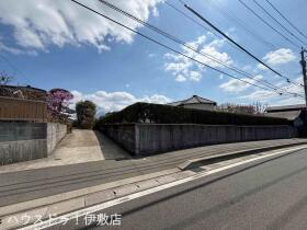 概観画像