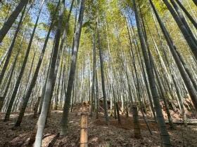 木津川市山城町北河原