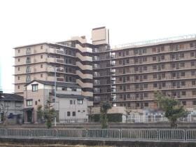 橿原市醍醐町