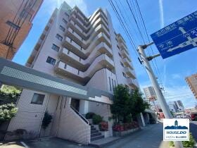 概観画像
