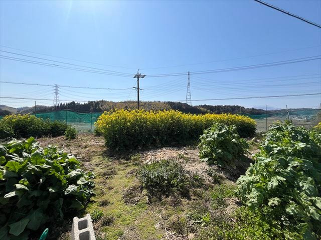 草花や家庭菜園を楽しめる、ガーデニングにぴったりなお庭です。休日に土いじりを楽しむ時間も増えそうですね。