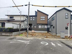 概観画像