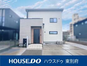 概観画像