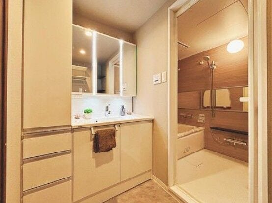 3面鏡内にはたっぷり収納