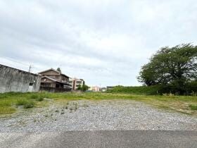 概観画像