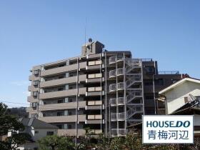 概観画像