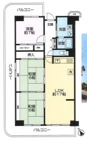 泉南市信達市場