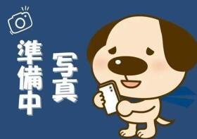 概観画像