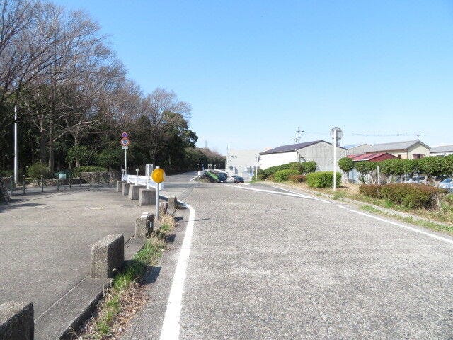 マンション南側前面道路です。大江川緑地沿いの道路です。大江川緑地でお散歩など楽しめそうですね。