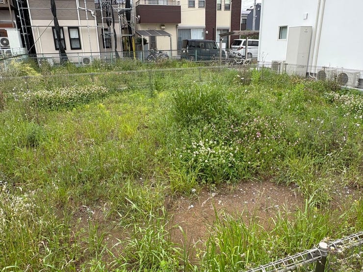 草花の緑が身近に感じられるのんびりとした空気感が漂うエリアです。やわらかな光に包まれたフラットな土地は、日々の暮らしを穏やかに過ごせそうな雰囲気。住まうほどに家族の愛着が深まりそうな環境です。