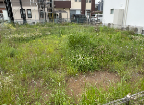 【外観】
周囲に高い建物がなく、敷地内までしっかりと暖かな光が届く好条件のロケーション。隣地との境界もすっきりと整備されており、すっきりとした綺麗な街並みです。青空が広がる心地よい空間が毎日を彩ります。