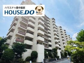 概観画像