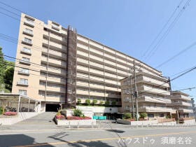 概観画像