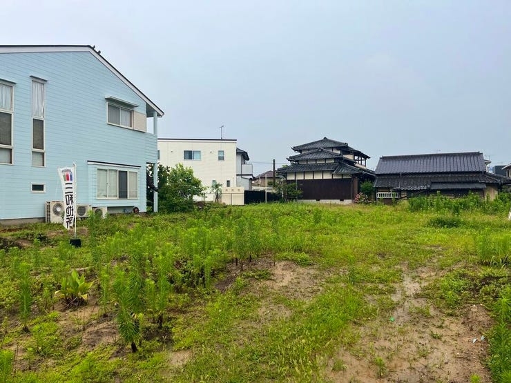 現地写真です。
2026.06.26撮影