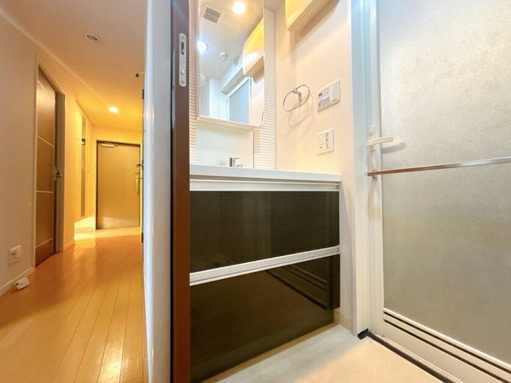 シャンプードレッサー付き洗面台が付いております◎