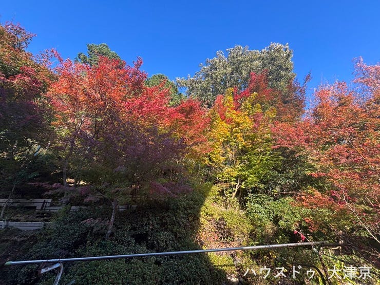 四季の彩りを間近に感じられます♪