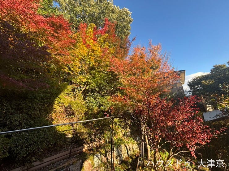 窓を開ければ広がる紅葉の景色。季節を感じる豊かな暮らしが叶います。