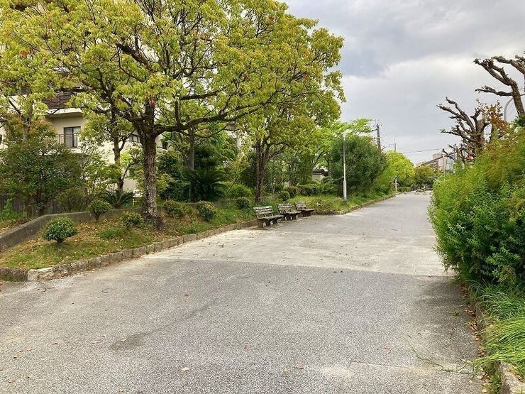 2022年4月撮影