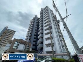 概観画像