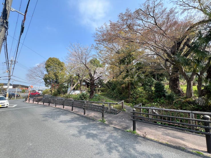 ・前面道路含む現地写真