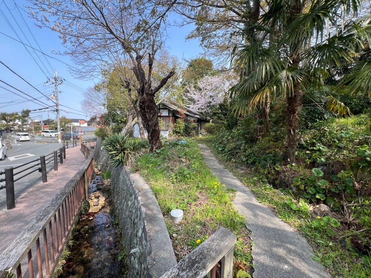 ・前面道路含む現地写真