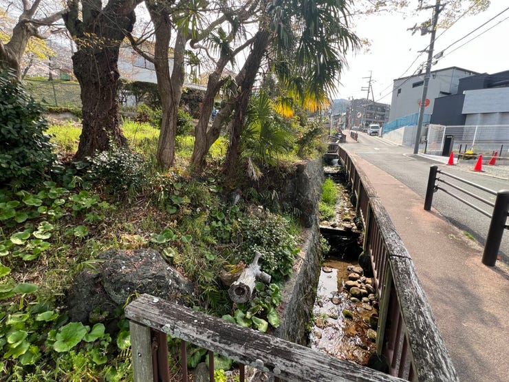 ・前面道路含む現地写真