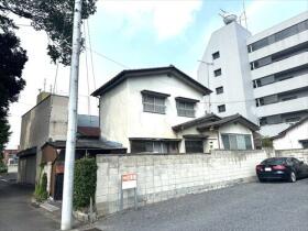 概観画像