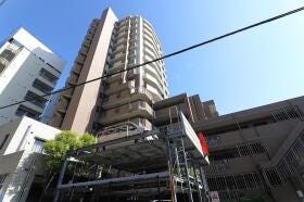 概観画像