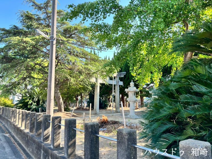 道路を挟んで目の前は緑豊かな四社神社