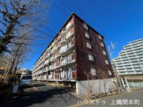 概観画像