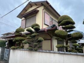 概観画像