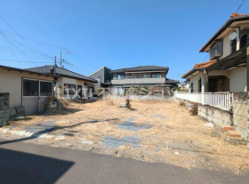概観画像