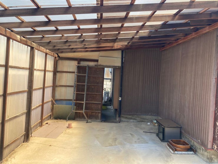 【2026.4.11撮影】