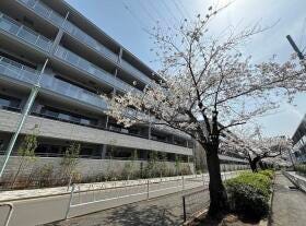 目黒区大岡山１丁目