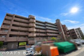 概観画像
